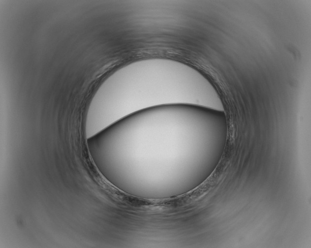 X0000111360356200907101001