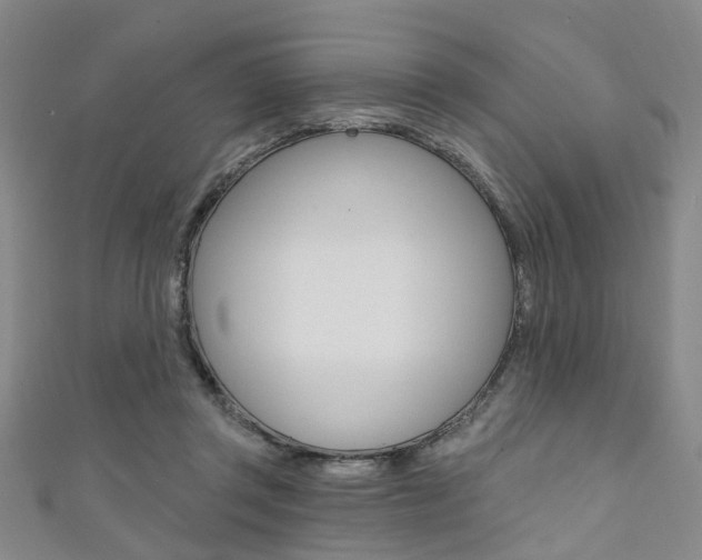 X0000111360357200907101001