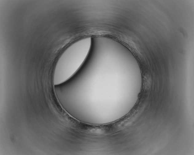 X0000111360358200907101001