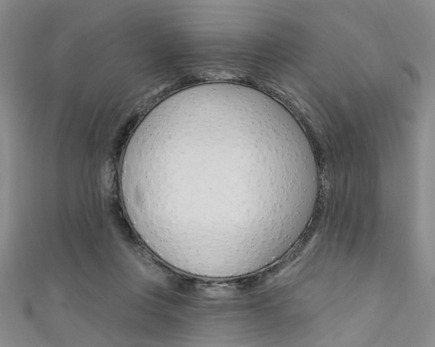 X0000111360359200907101001