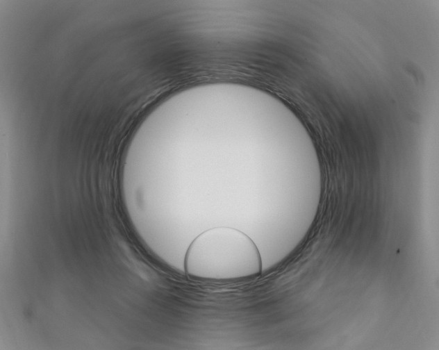X0000111360360200907101001