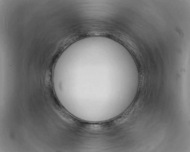X0000111360361200907101001