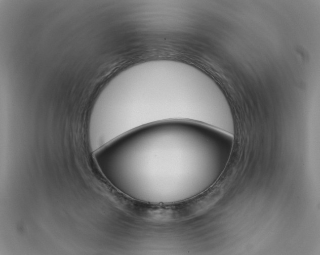 X0000111360362200907101001