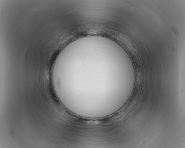 X0000111360363200907101001