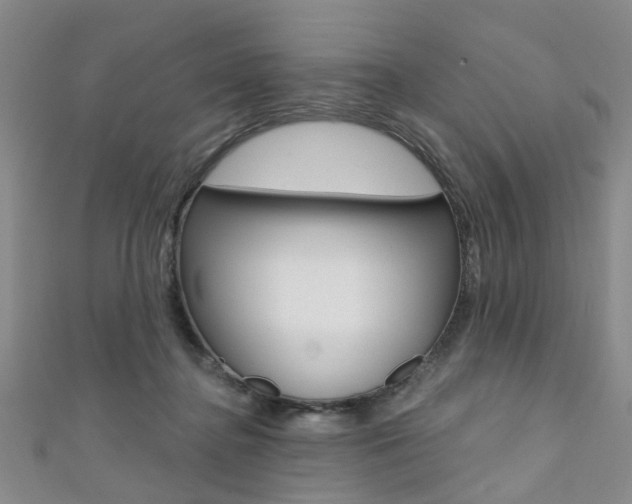 X0000111360364200907101001