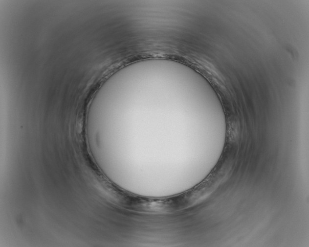 X0000111360365200907101001