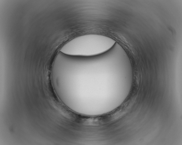 X0000111360366200907101001