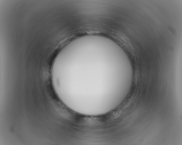 X0000111360367200907101001