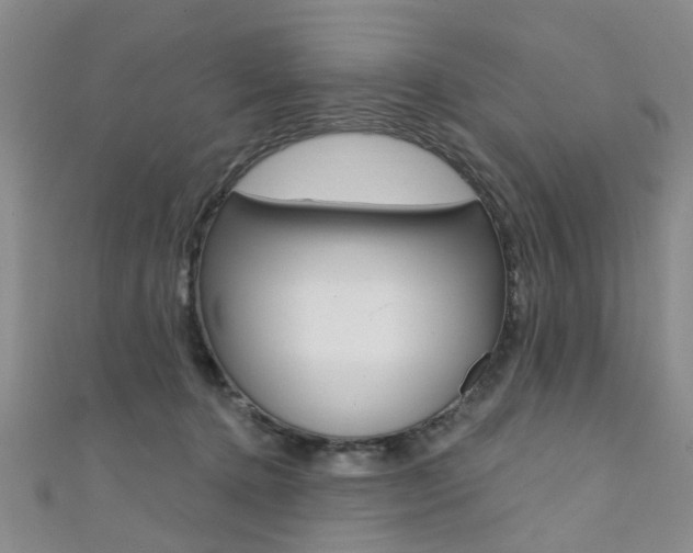 X0000111360368200907101001