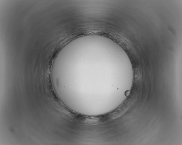 X0000111360369200907101001