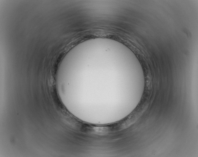 X0000111360371200907101001