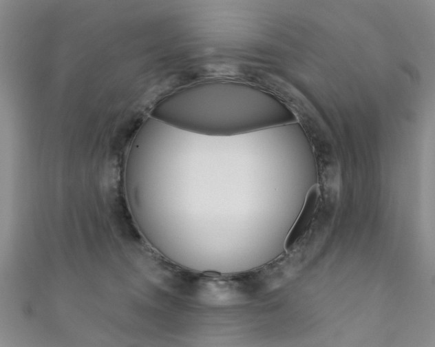 X0000111360372200907101001