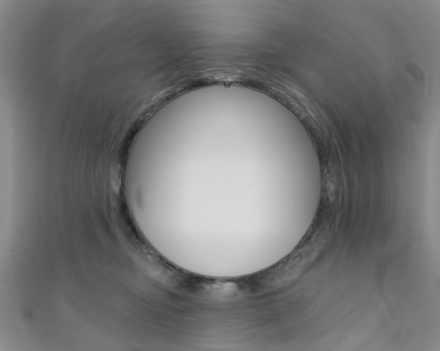 X0000111360374200907101001