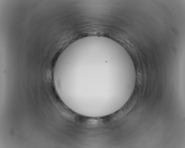 X0000111360375200907101001