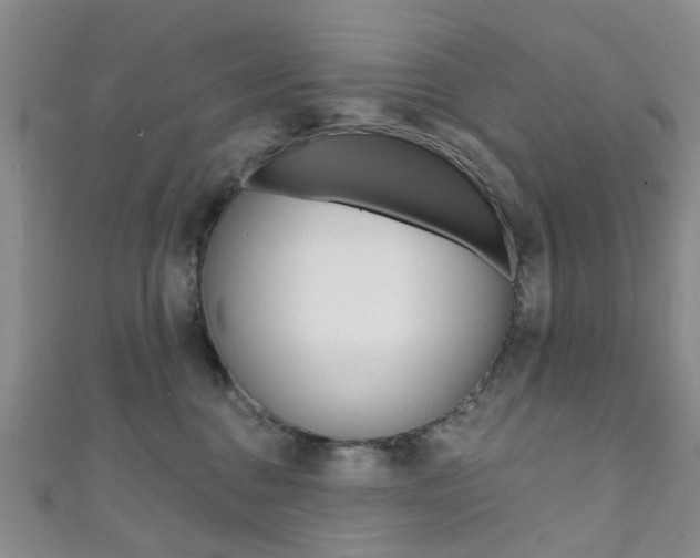 X0000111360376200907101001