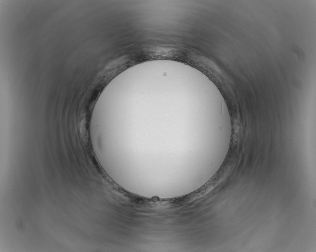 X0000111360377200907101001