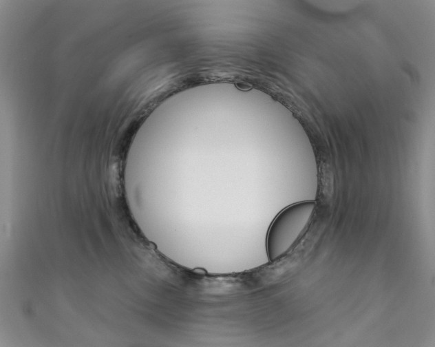 X0000111360378200907101001