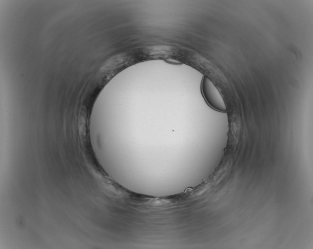 X0000111360379200907101001