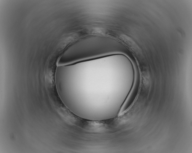X0000111360380200907101001