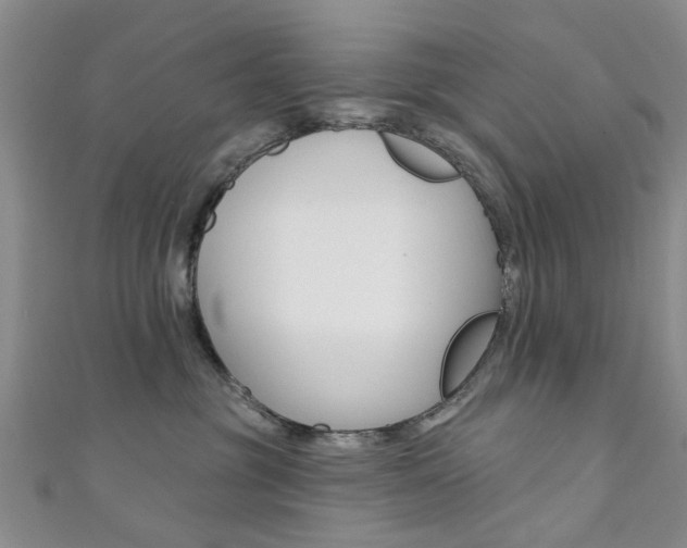 X0000111360381200907101001
