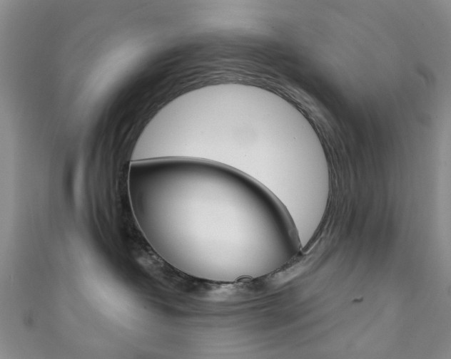 X0000111360382200907101001