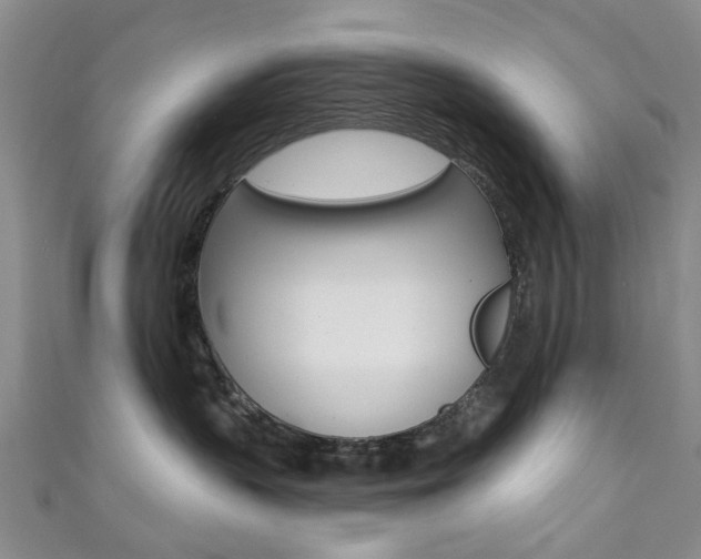 X0000111360383200907101001