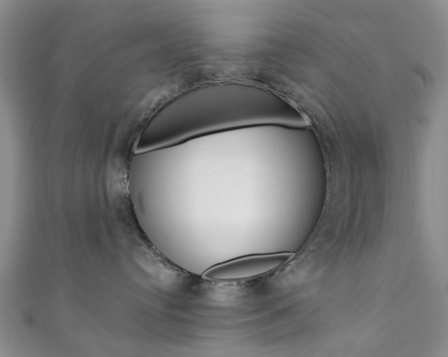 X0000111360384200907101002