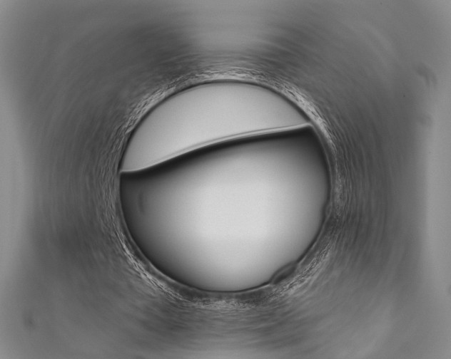 X0000111360385200907101001