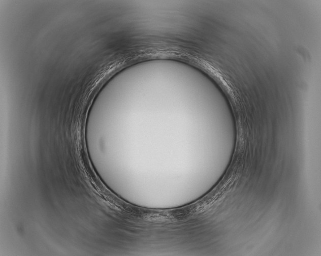 X0000111360386200907101001