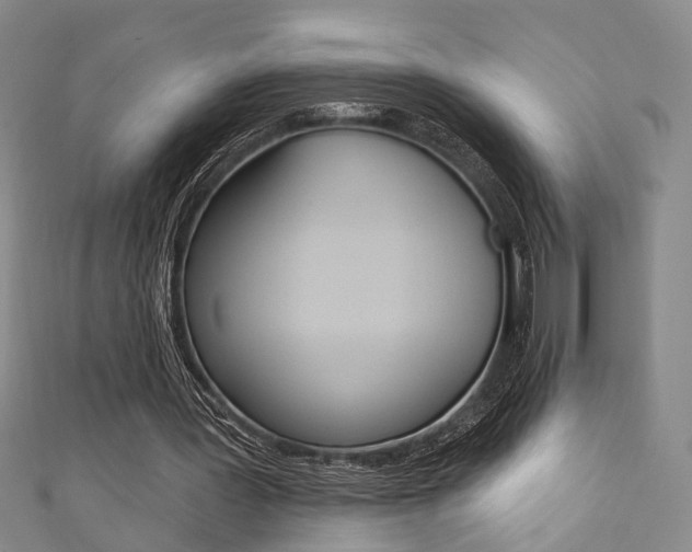 X0000111360387200907101001