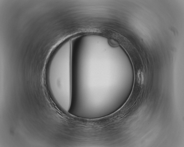 X0000111360388200907101001