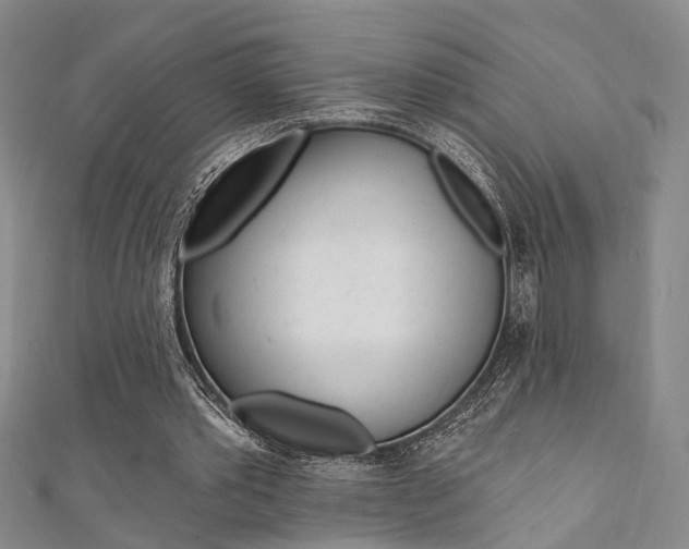 X0000111360389200907101001