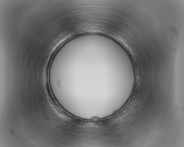 X0000111360390200907101001