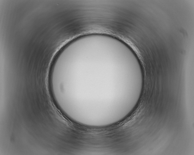 X0000111360391200907101001