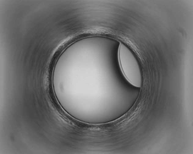 X0000111360392200907101001