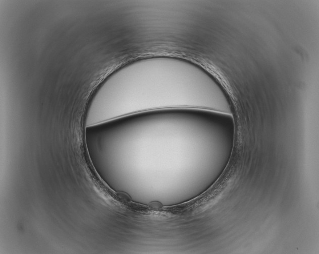 X0000111360393200907101001