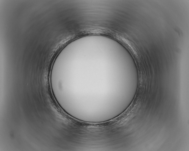 X0000111360394200907101001