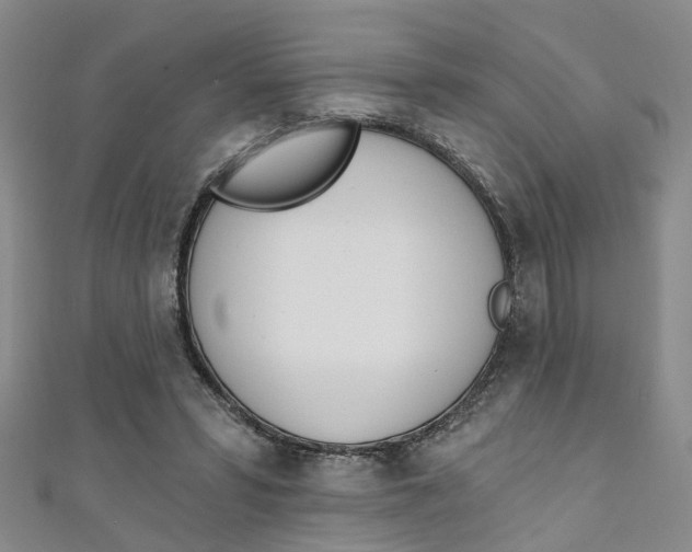 X0000111360399200907101001