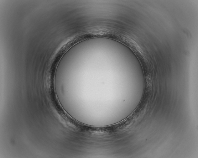 X0000111360400200907101001