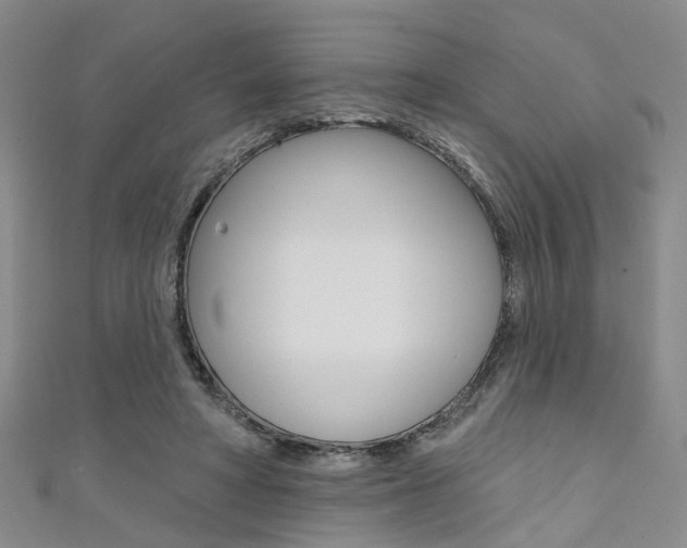 X0000111360402200907101001