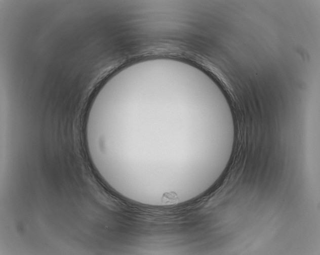 X0000111360403200907101001