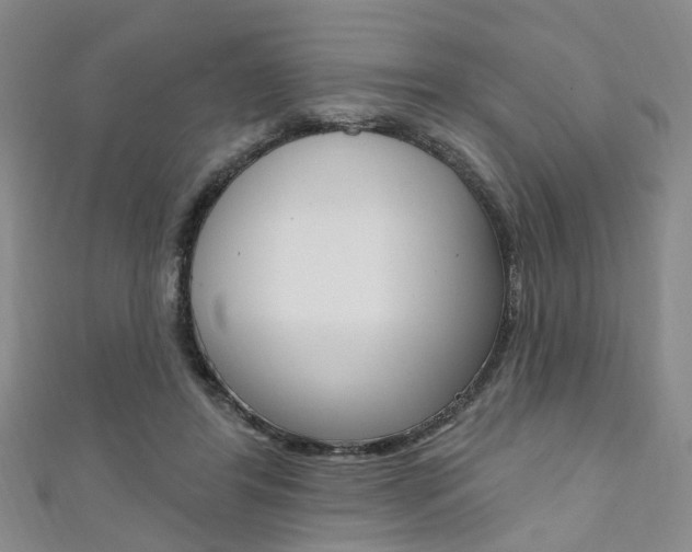 X0000111360404200907101001