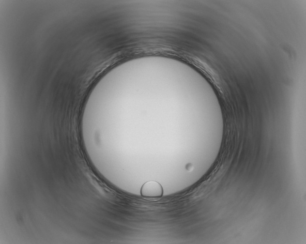 X0000111360405200907101001