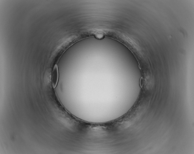 X0000111360407200907101001