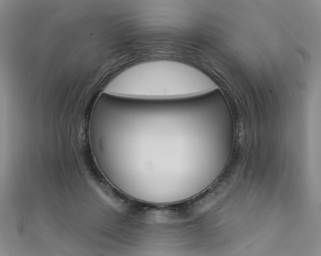 X0000111360408200907101001