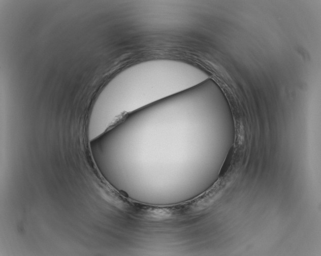 X0000111360409200907101001