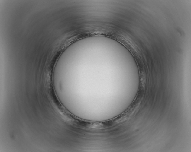 X0000111360410200907101001
