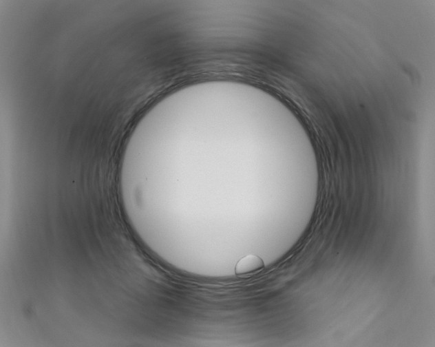 X0000111360411200907101001