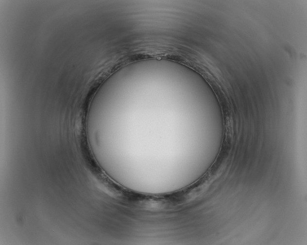 X0000111360412200907101001