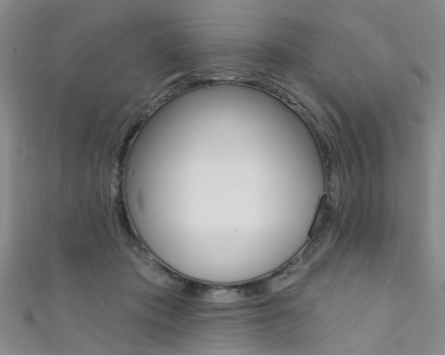 X0000111360413200907101001